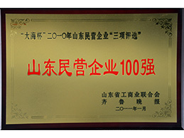 山東民營企業(yè)100強